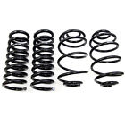 3051 Umi Performance Lowering Spring Kit Gm 013102001202