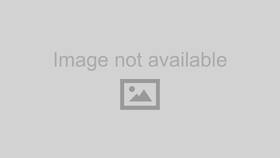 10-04283-10 Amp Research Fits 2016 Ford Super Duty Replacement Linkage Idler Arm Power Step