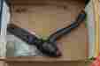 K-6164 K6164 Parts Master Moog Pontiac Idler Arm New In Box 6164