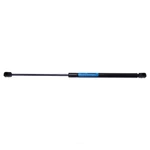 Hood Lift Support Strong Arm 6312. Fixed Price $52.99.
