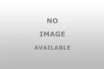 Fabtech FTS310 Pitman Arm S.d. After 3/99. Fixed Price $141.46.