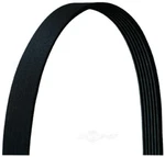Dayco 5060895 Serpentine Belt For PQR500320 PK060895 K060895RPM #K3. Fixed Price $25.00.