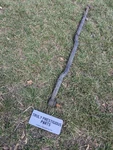 Genuine Mercedes Wagon Front Axle Steering Tie Track Rod Bar W460 W461 W463. Fixed Price $133.31.