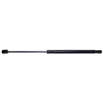 Back Glass Lift Support Strong Arm 4372. Fixed Price $39.99.