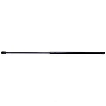 Hood Lift Support Strong Arm 6310 Fits 06-11 Chevrolet Hhr. Fixed Price $55.99.