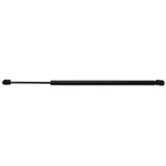 Liftgate Support Strong Arm 4396. Fixed Price $59.44.