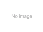 Borgeson 806020 Steering Pitman Arm. Fixed Price $113.76.