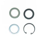 Edelmann 8717 Stg. Gear Lwr Pitman Shaft Seal Kit. Fixed Price $37.30.