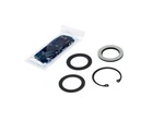 26002516 Kit, Pitman Arm Seal Savana 2003-06. Fixed Price $17.93.