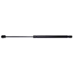 Back Glass Lift Support Fits 2002 Mercury Mountaineer Strong Arm. Fixed Price $28.07.